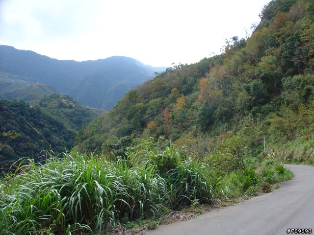 偉大的航道-新竹竹蜻蜓車隊-宇老、玉峰、北橫、羅馬公路大滿貫