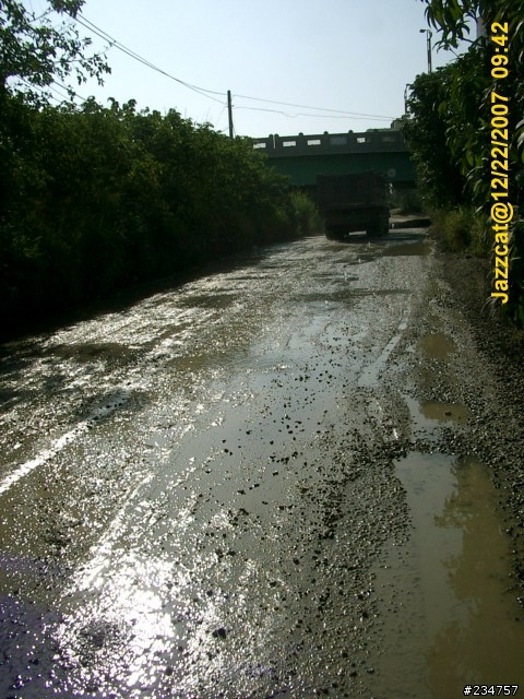 [遊記]彰化市-蘭勢大橋 峽谷單車旅