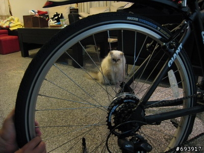 [分享]米其林單管打氣筒開箱