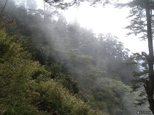 騎上雲海的感動 - 能高越嶺