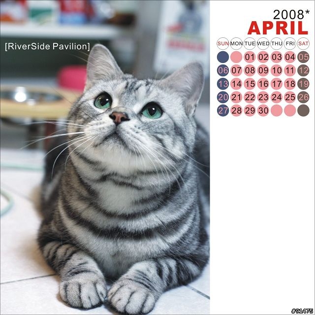 [意見募集]貓月曆最終測試版(2008/07/09更新)
