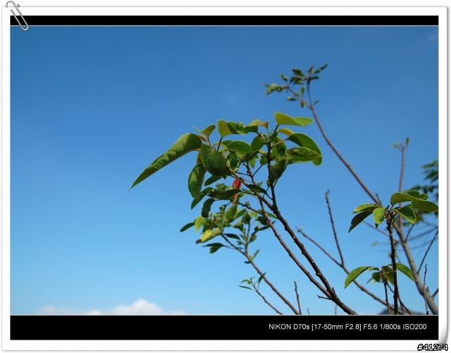 Tamron A16  開箱+試拍(0107新增)
