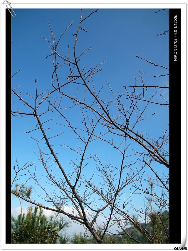 Tamron A16  開箱+試拍(0107新增)