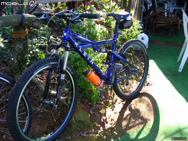 分享Carbon硬前叉+Selle XC座墊.