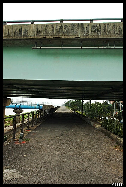 中和~鶯歌自行車道 路面寫真 (圖多)