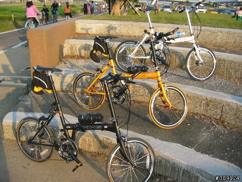 T3疊疊樂...3缺一.......(大黃蜂,黑麻吉,白帶魚)