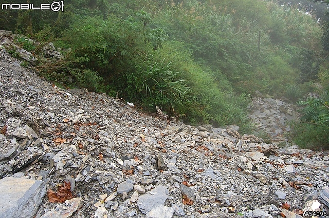 [路線分享]多納林道, 寒流夾雜下雨濃霧之通往林道 21K封閉處!!(37張圖)