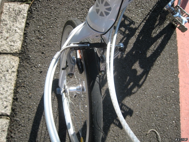 DAHON VD21 小白 終於真的完全進化