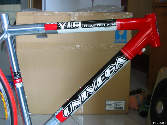 [分享] 我自己動手組裝的公路車