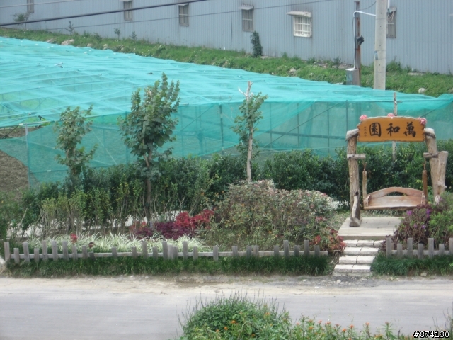 [分享]年終暴冷社子島之旅