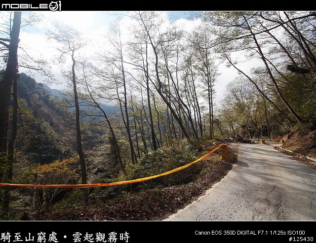 騎至山窮處‧雲起觀霧時～單車初探大鹿林道
