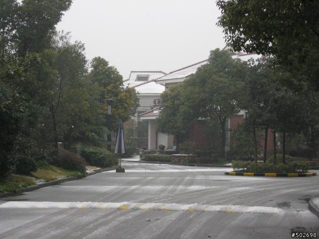 上海下大雪