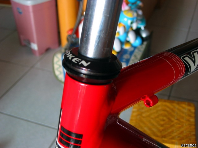 [分享] 我自己動手組裝的公路車