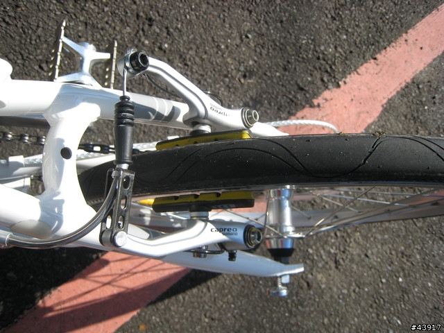 DAHON VD21 小白 終於真的完全進化