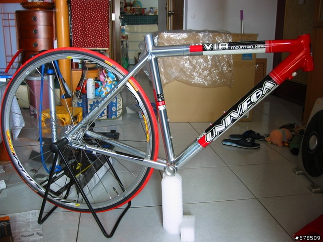[分享] 我自己動手組裝的公路車