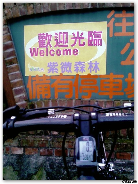 【永福in幫幫歷史活動照片區】更新日 08/13