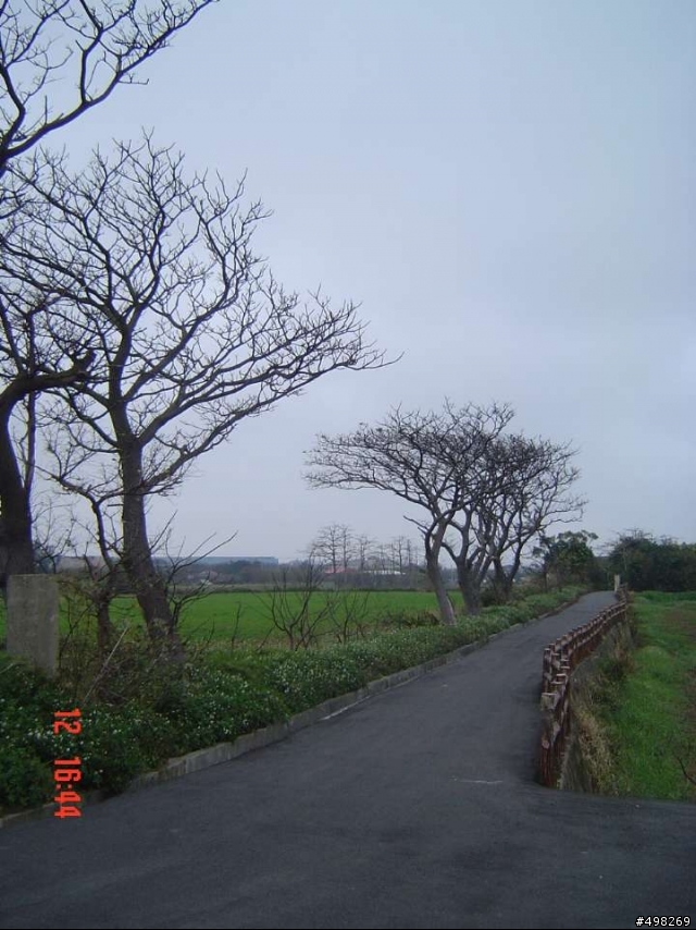 桃園第四條素食美食單車路線圖