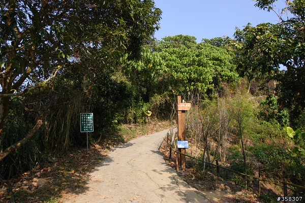 太平：小百岳～三汀山、埤頭山