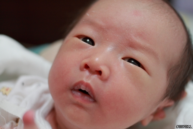 [二手開箱]CANON EF 35MM F/2(新增寶寶照08/01/14)