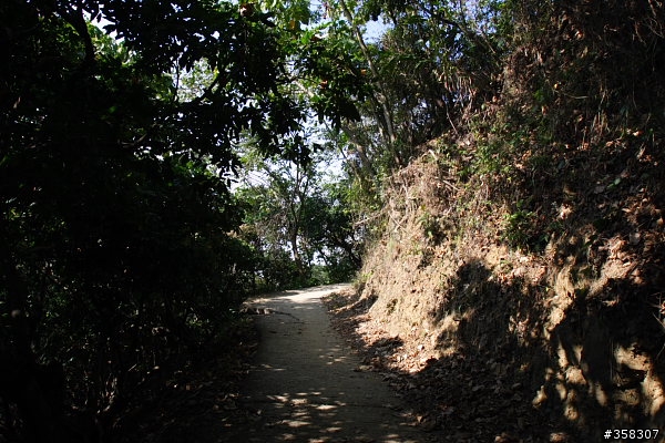 太平：小百岳～三汀山、埤頭山