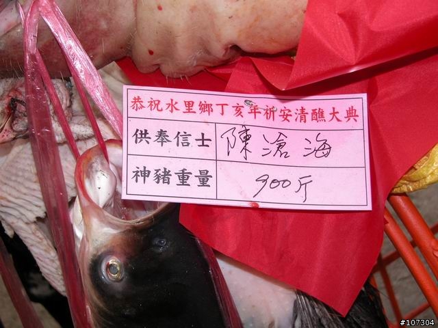 老婆不在家之-身騎白馬鼻水雙管流新中橫之行(1/6照片全部上傳完畢)