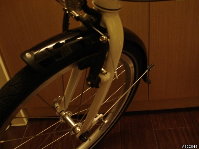 Dahon原廠土除開箱文+Dahon Mu P8入手.....開心分享圖...........