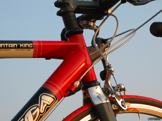 [分享] 我自己動手組裝的公路車