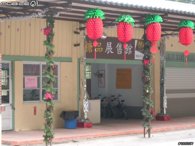 [遊記]橋頭~向日葵花海、花卉、糖廠