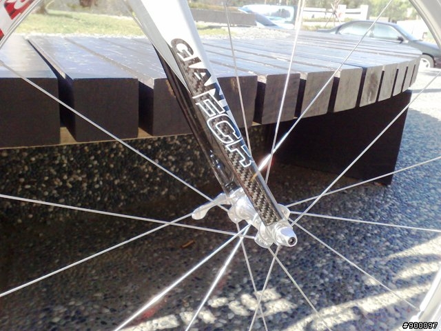 Giant FCR composite