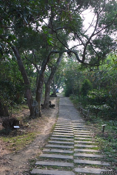 太平：小百岳～三汀山、埤頭山