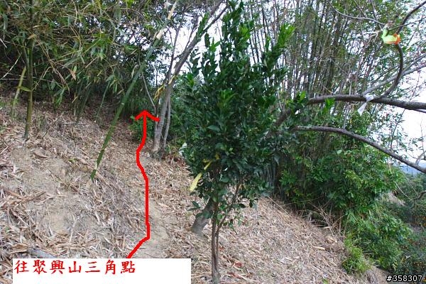 潭子：小百岳～聚興山、大湖山