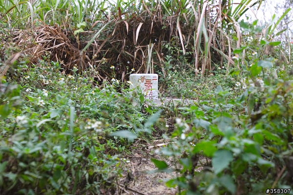 潭子：小百岳～聚興山、大湖山