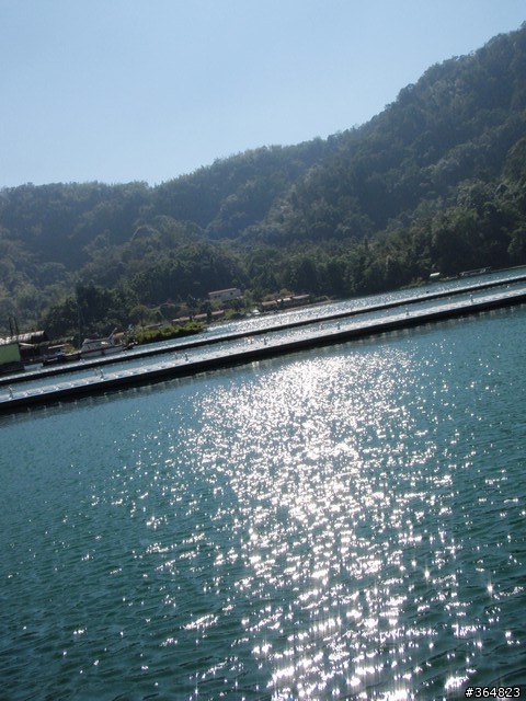 <寫真集>日月潭、埔里兩日遊