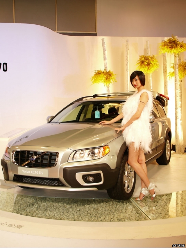 怪叔叔不好當之沒拍什麼車的08車展
