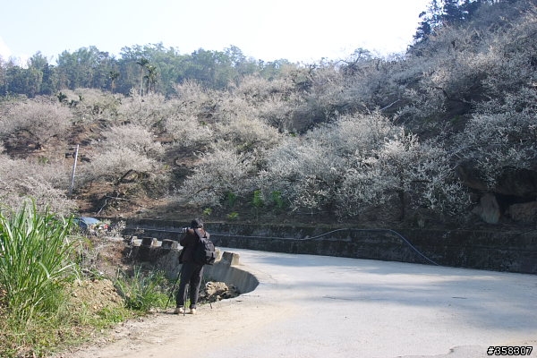 風櫃斗