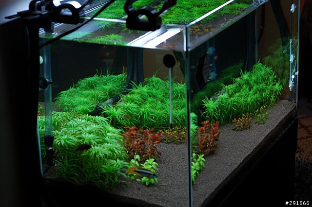 [勸敗]水族界的Lexus--ADA水族用品,1/28新增螺旋計泡器.