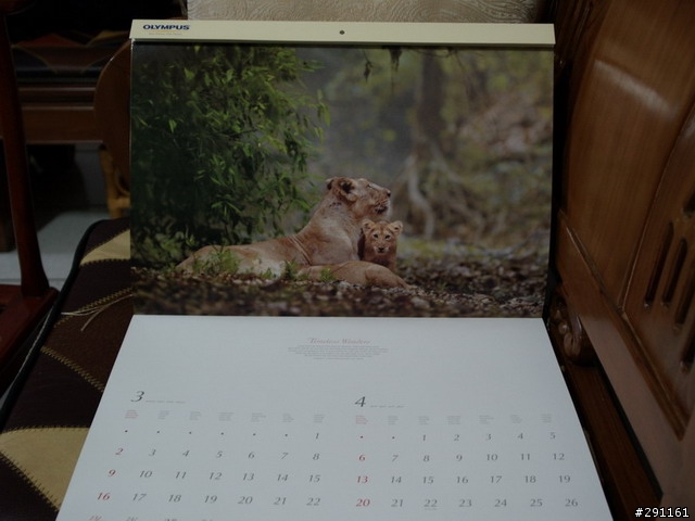 Olympus的新年禮物