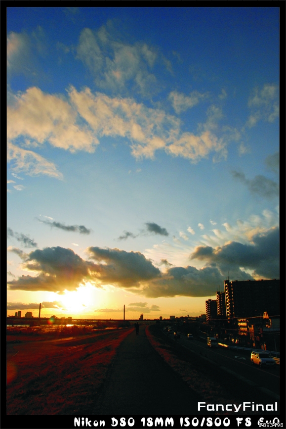 新手D80 + 18-135KIT鏡之解毒照 更新篇