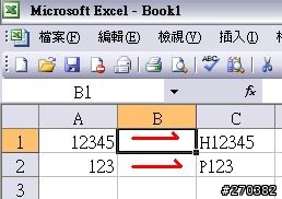 [問題]excel 問題 (在2000下會產生另一種問題)皆己解決 謝謝各位@@