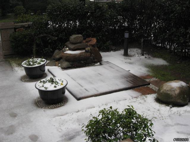 上海下大雪