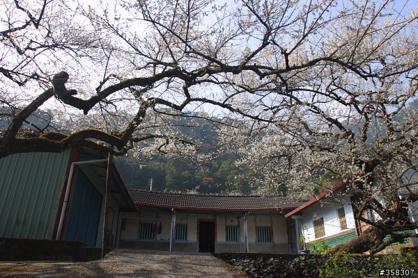 風櫃斗