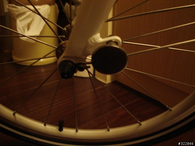 Dahon原廠土除開箱文+Dahon Mu P8入手.....開心分享圖...........