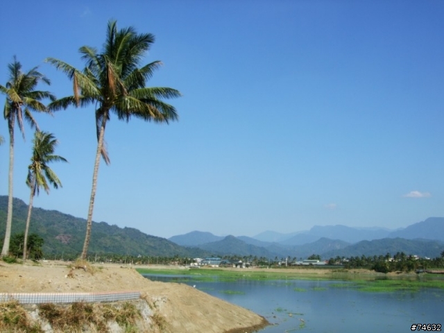 2008年1月5日天氣晴,美食,美景...........鐵腿!