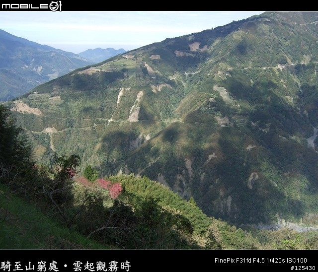 騎至山窮處‧雲起觀霧時～單車初探大鹿林道