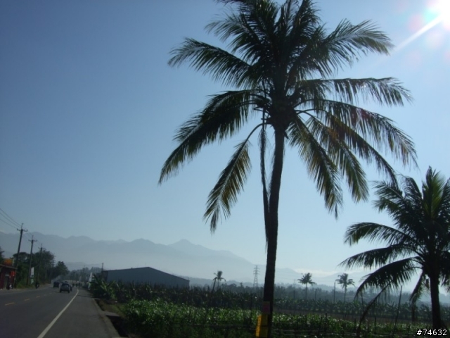 2008年1月5日天氣晴,美食,美景...........鐵腿!
