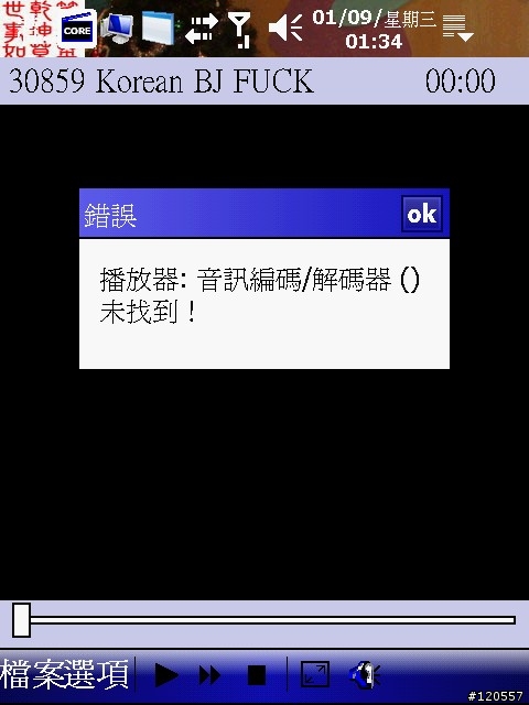 D900 WM6 用TCPMP 始終無法看flv影像檔.求解決之法