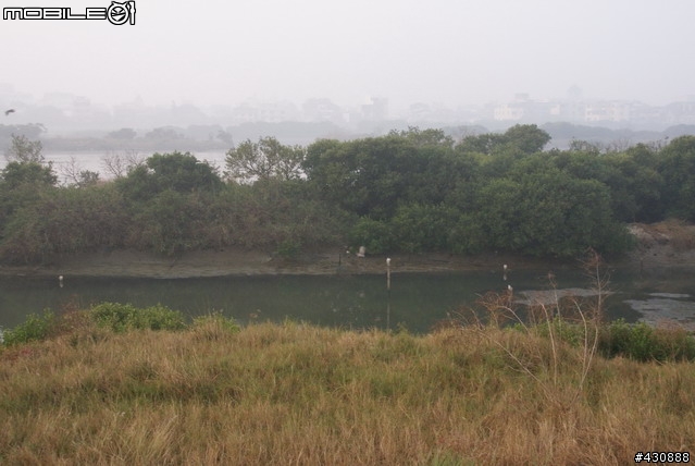 台南市逍遙晨騎 賞鳥團