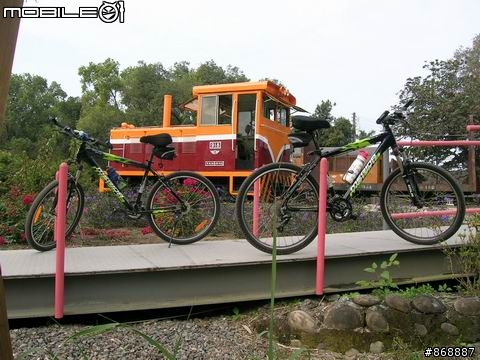 [遊記]橋頭~向日葵花海、花卉、糖廠