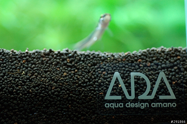 [勸敗]水族界的Lexus--ADA水族用品,1/28新增螺旋計泡器.