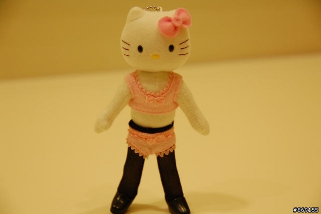 [分享]CA KITTY (限)